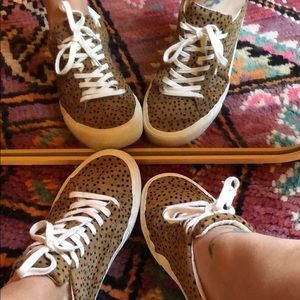 Madewell Sidewalk low sneaker, spot dot calf hair